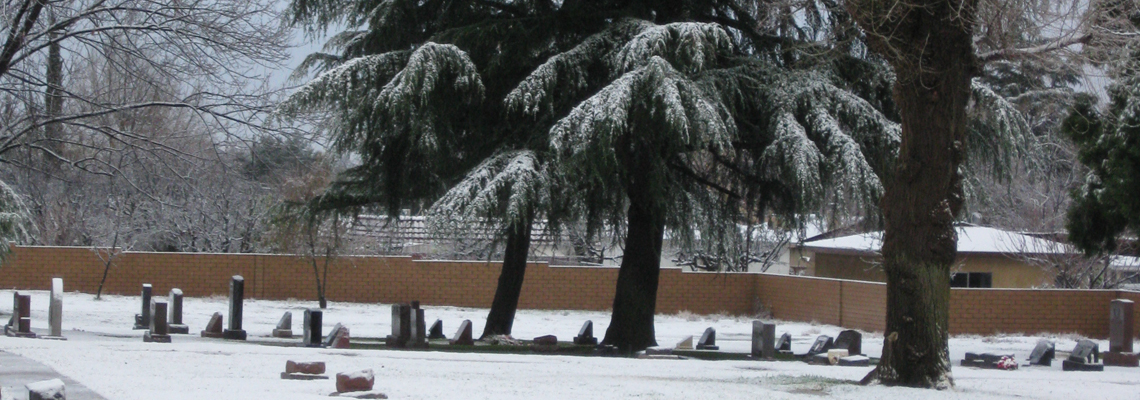 Picture of Snow Fall on Grave Markers and Tree at Mountain View Cemetery.
